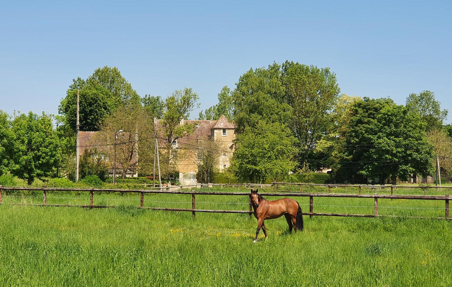 Amarée_maison de la dame #éco-construction #réemploi #bois-terre-paille #écurie